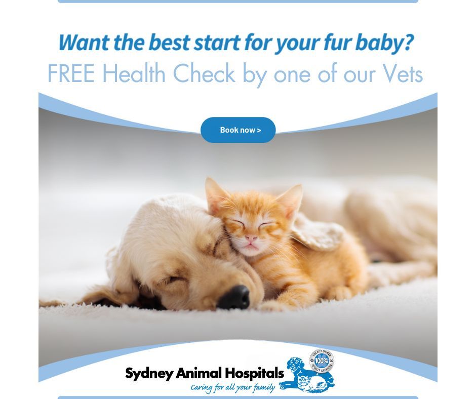 Fur baby free Health Check up