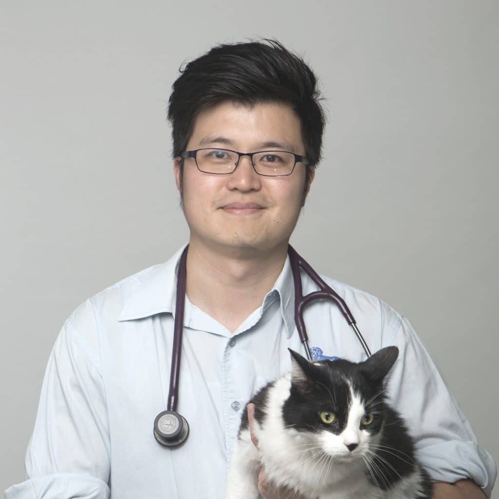 Dr Christopher Sun