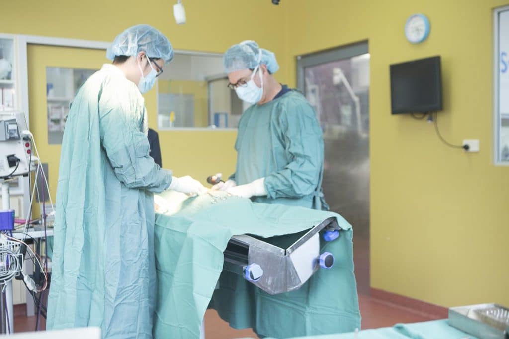 What is Scrotal Ablation Surgery?