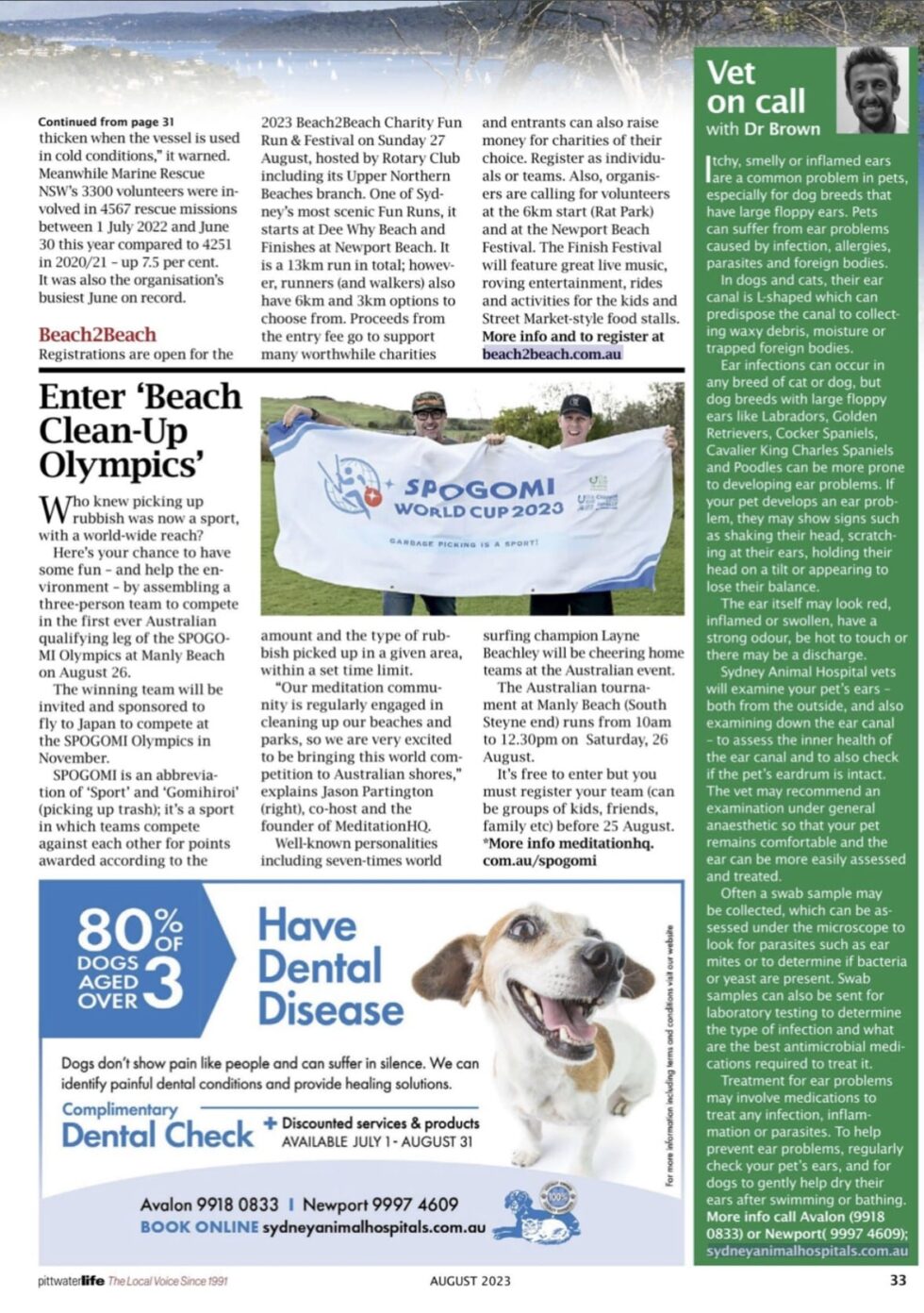 Ear problems in pets Sydney Animal Hospitals News