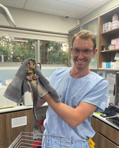 Dr Ben Mills
